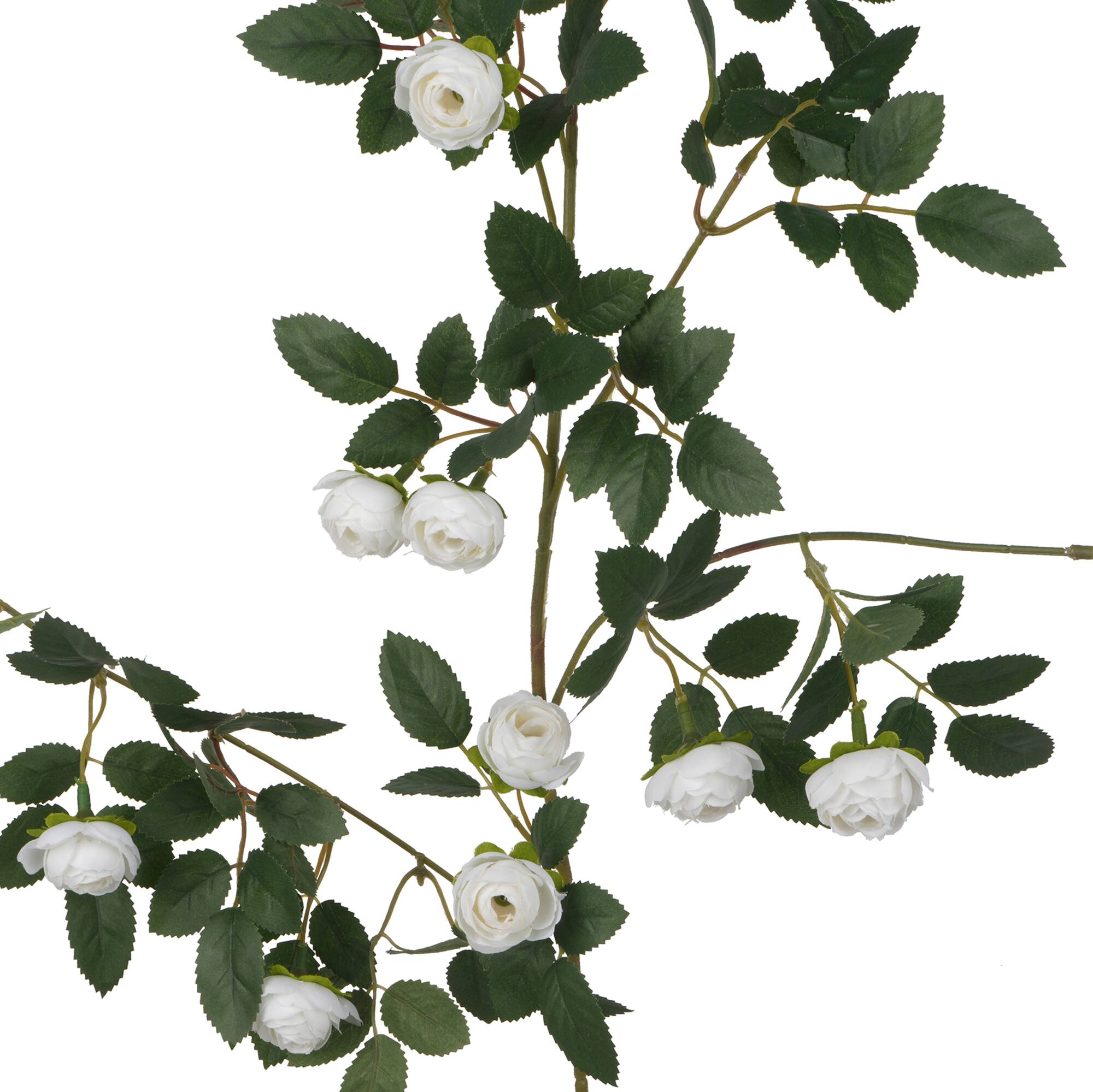 6 Pack: 6ft. White Ranunculus Garland by Ashland®